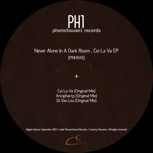 Never Alone In A Dark Room - Cei La Va EP [PNH045]